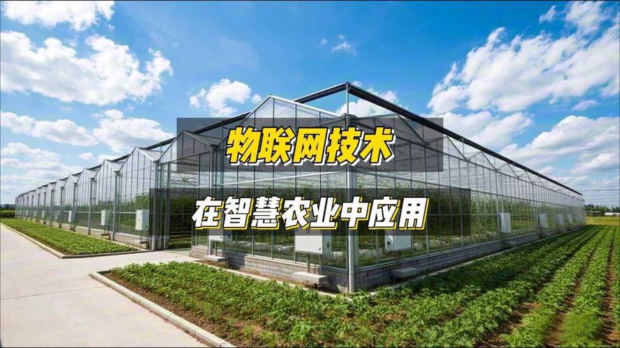 看物联网技术在智慧农业中的应用